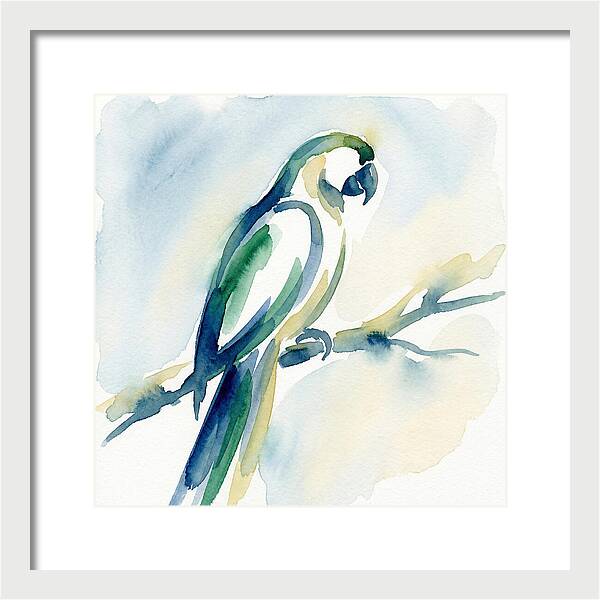 Parrot Perched In Watercolor