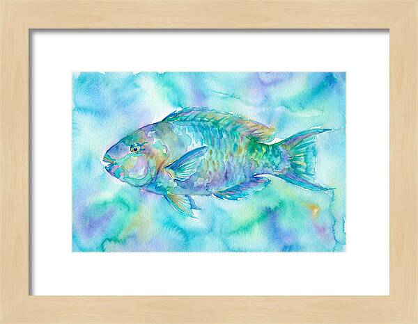 Parrotfish In Watercolor Bliss