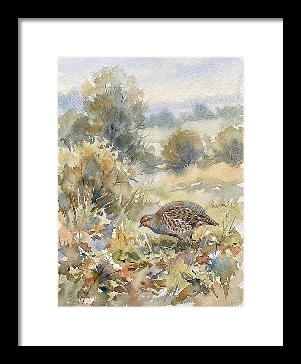 Partridge Among The Foliage