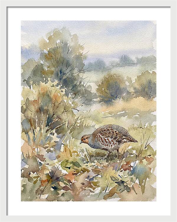 Partridge Among The Foliage