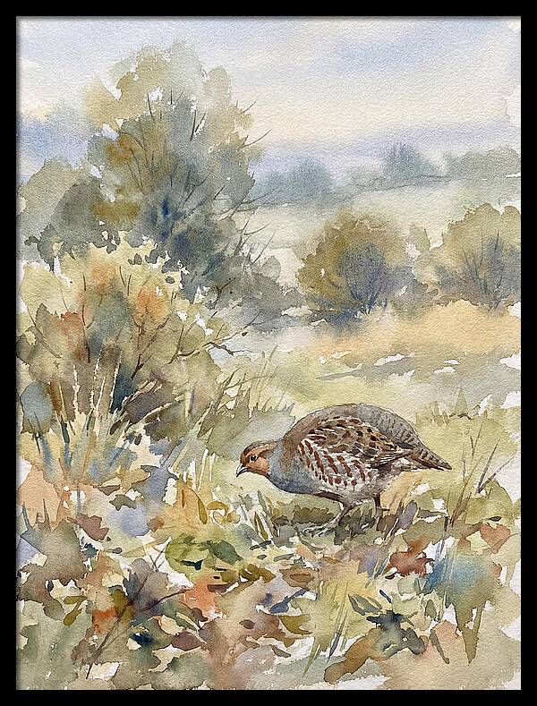 Partridge Among The Foliage