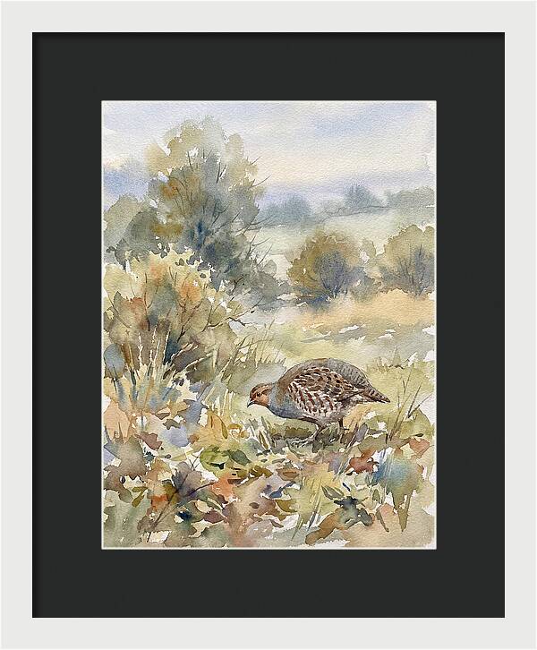 Partridge Among The Foliage