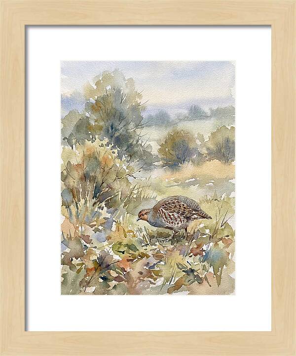 Partridge Among The Foliage