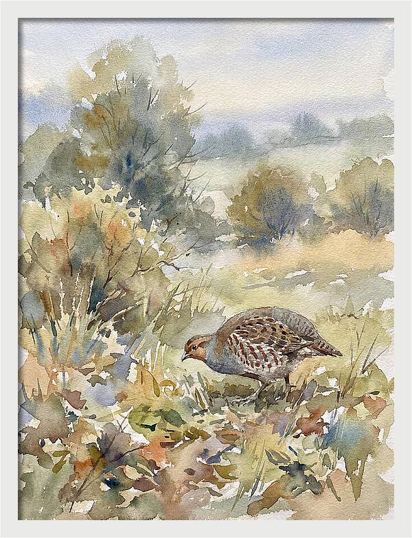 Partridge Among The Foliage