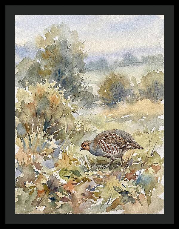 Partridge Among The Foliage