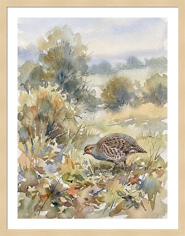 Partridge Among The Foliage