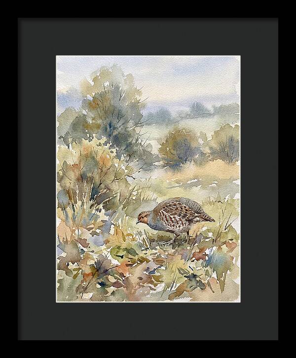 Partridge Among The Foliage