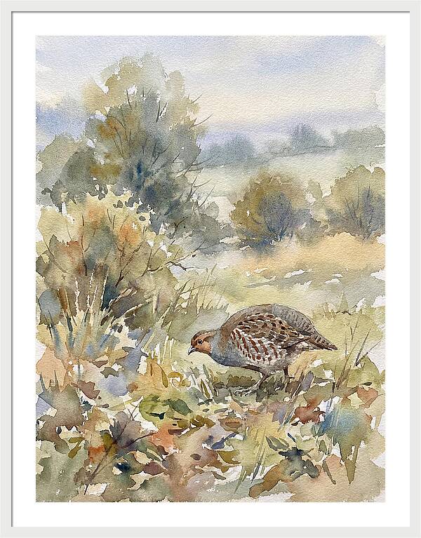 Partridge Among The Foliage