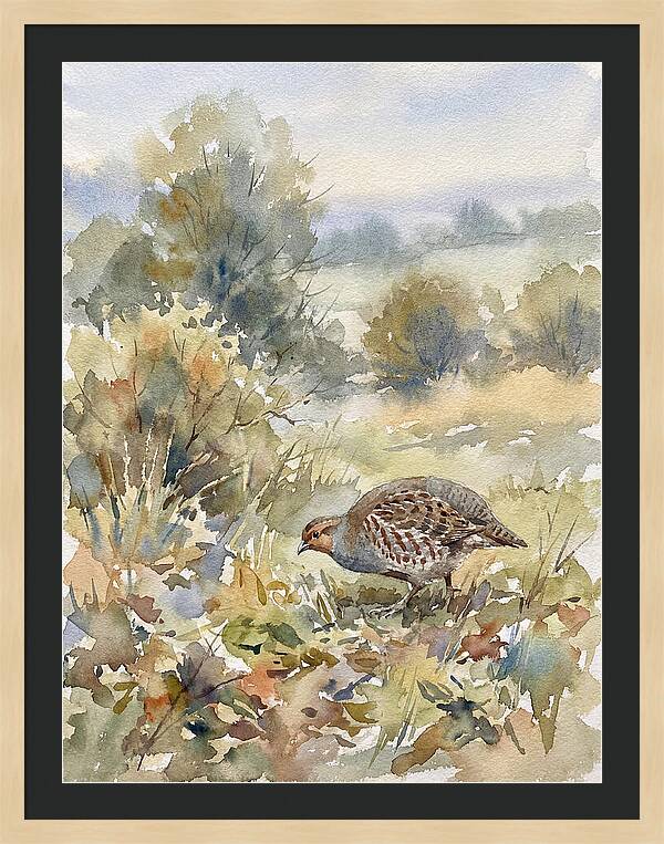 Partridge Among The Foliage