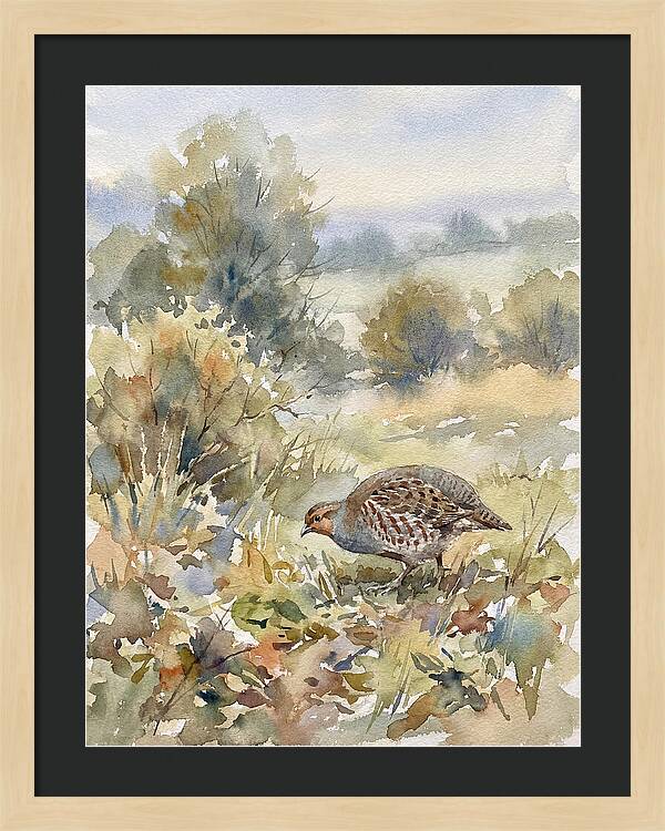 Partridge Among The Foliage