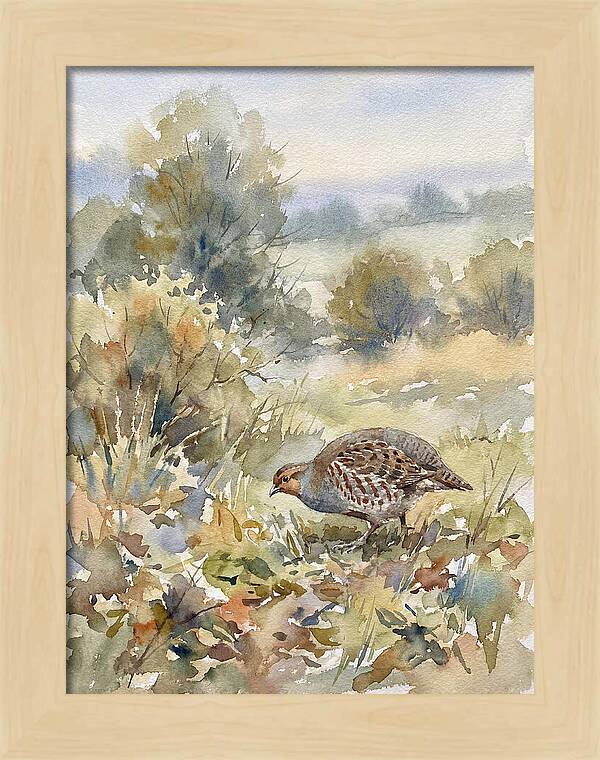 Partridge Among The Foliage