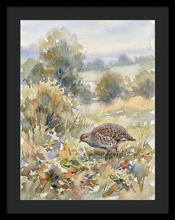 Partridge Among The Foliage