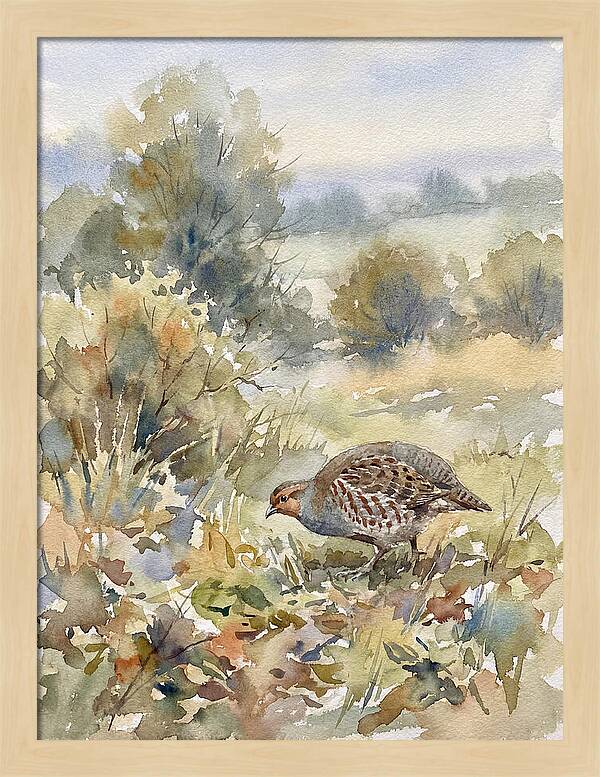 Partridge Among The Foliage