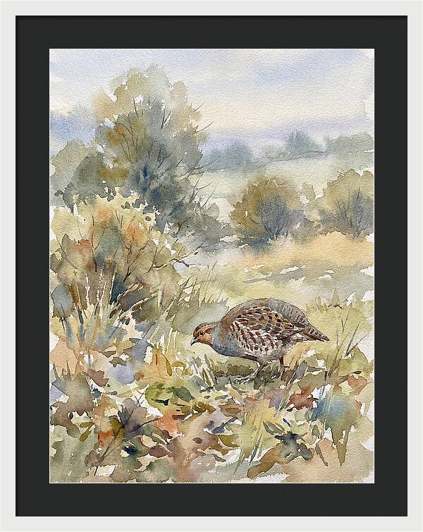 Partridge Among The Foliage