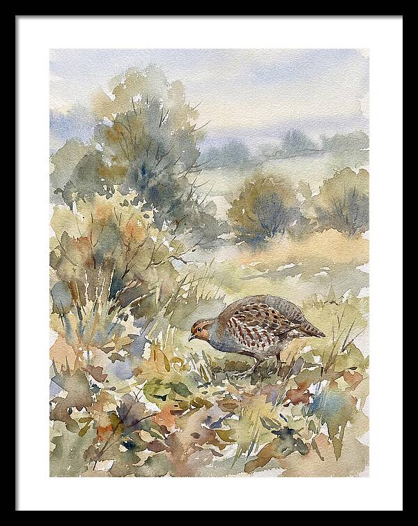 Partridge Among The Foliage