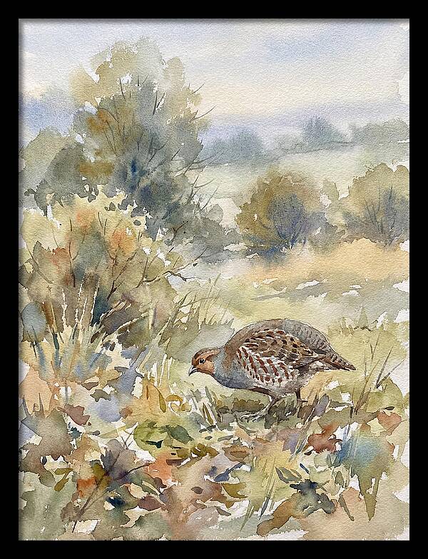 Partridge Among The Foliage