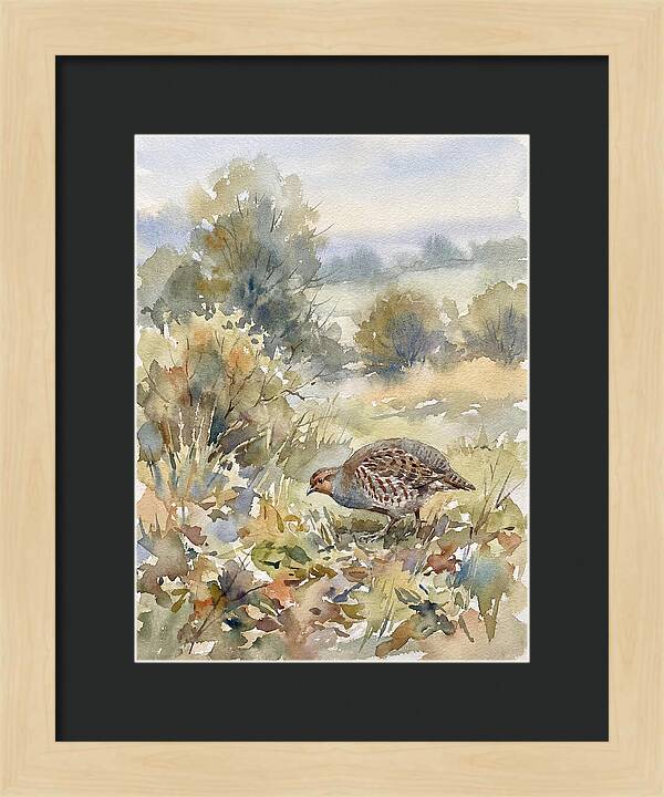 Partridge Among The Foliage