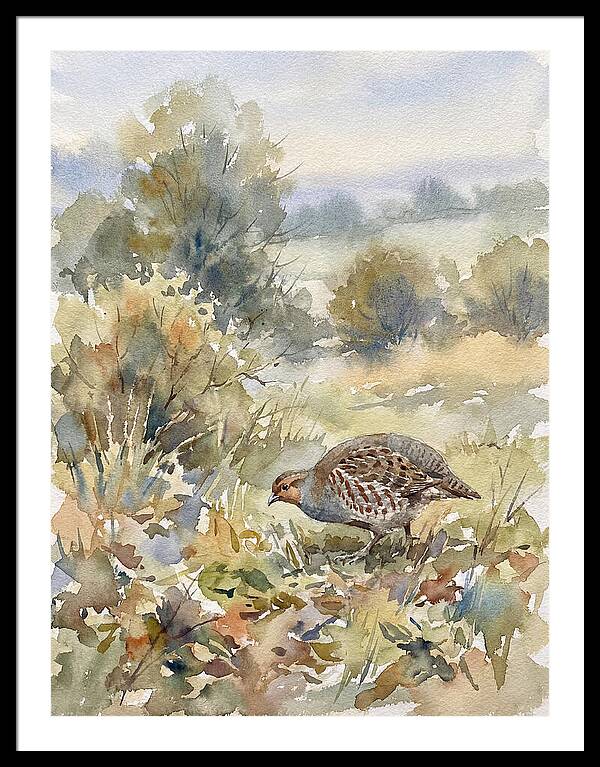 Partridge Among The Foliage