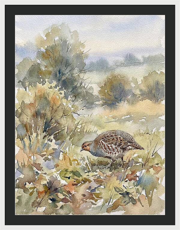 Partridge Among The Foliage