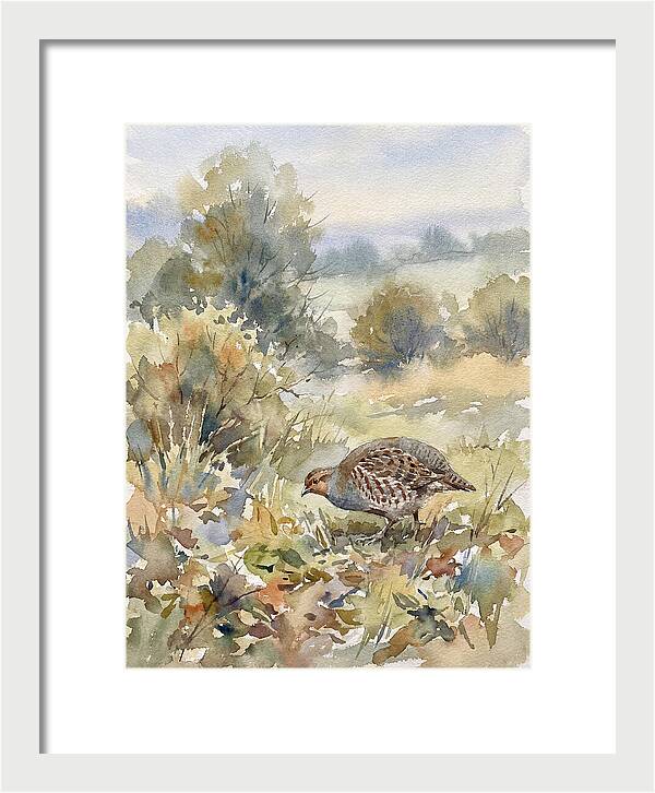 Partridge Among The Foliage