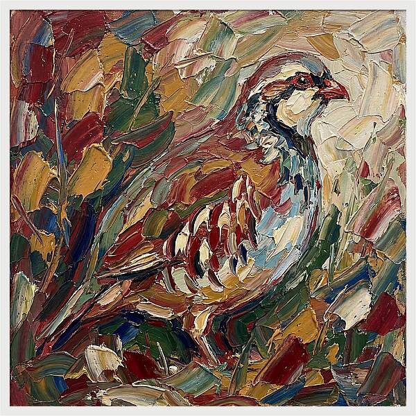 Partridge In Vibrant Palette