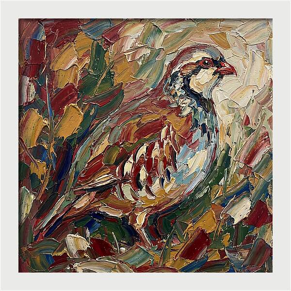 Partridge In Vibrant Palette