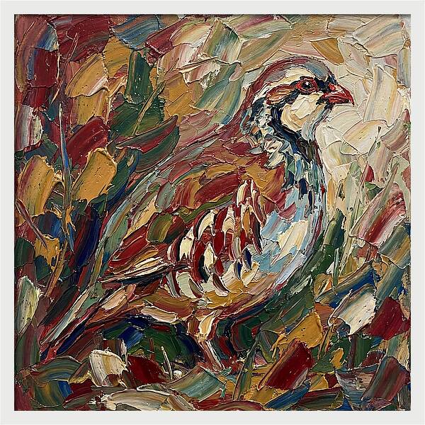 Partridge In Vibrant Palette