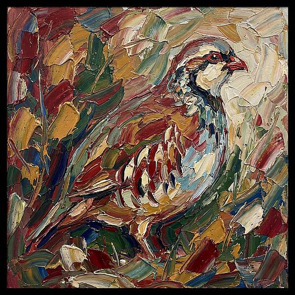 Partridge In Vibrant Palette
