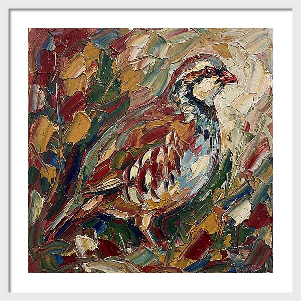 Partridge In Vibrant Palette