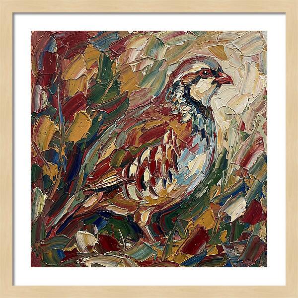 Partridge In Vibrant Palette