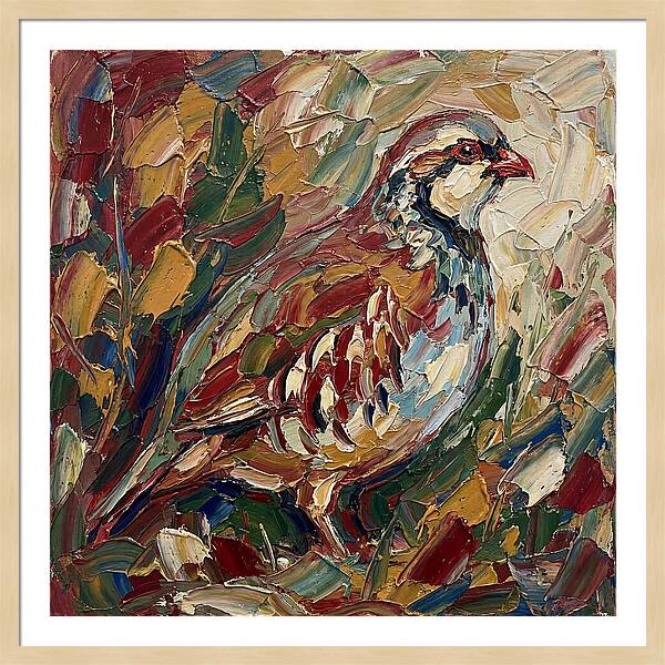 Partridge In Vibrant Palette