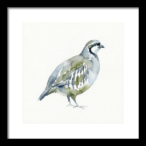 Partridge In Watercolor Style