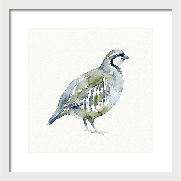 Partridge In Watercolor Style
