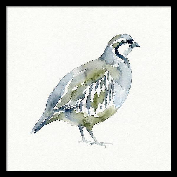 Partridge In Watercolor Style