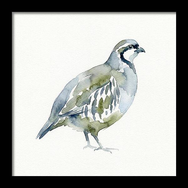 Partridge In Watercolor Style