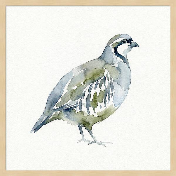 Partridge In Watercolor Style