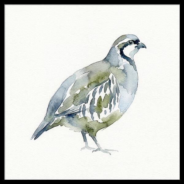 Partridge In Watercolor Style