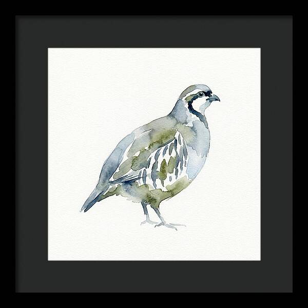 Partridge In Watercolor Style