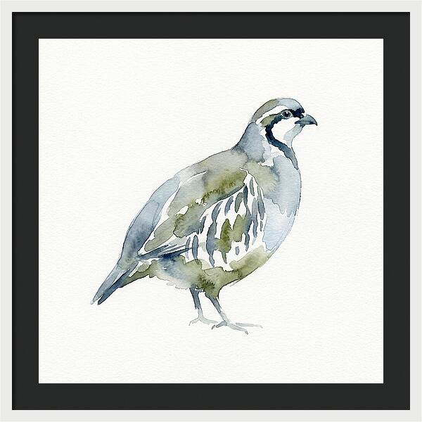Partridge In Watercolor Style