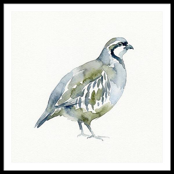 Partridge In Watercolor Style