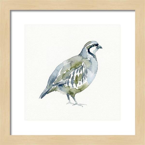 Partridge In Watercolor Style