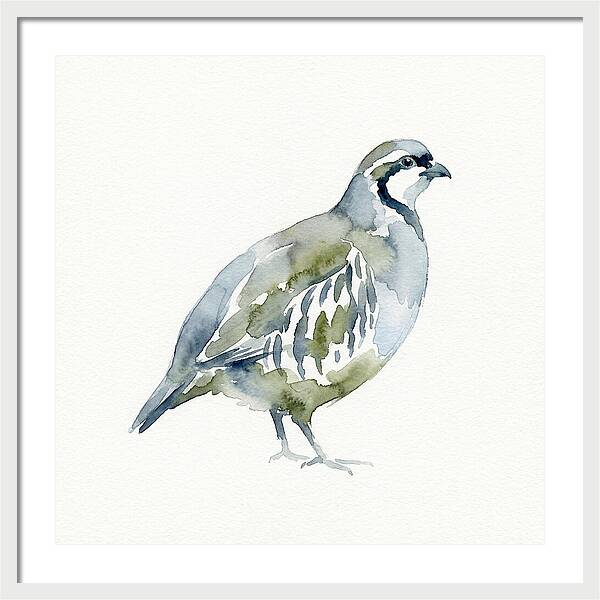 Partridge In Watercolor Style