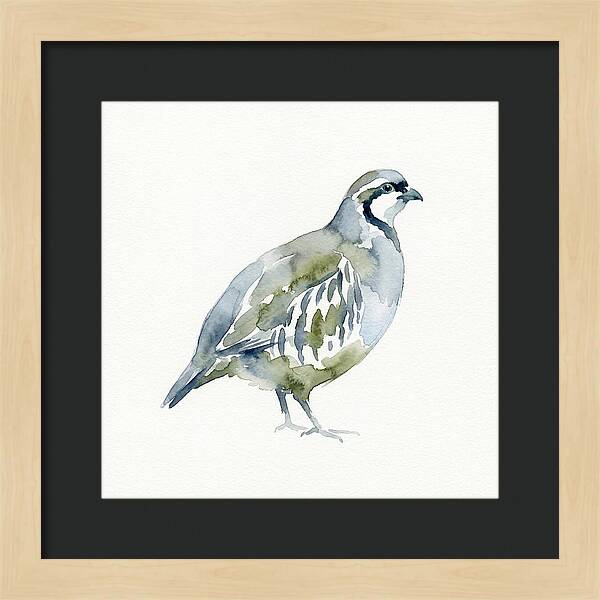 Partridge In Watercolor Style