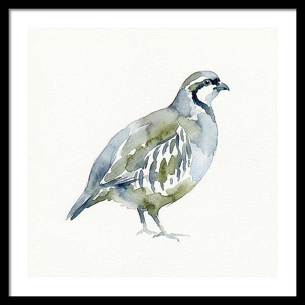 Partridge In Watercolor Style