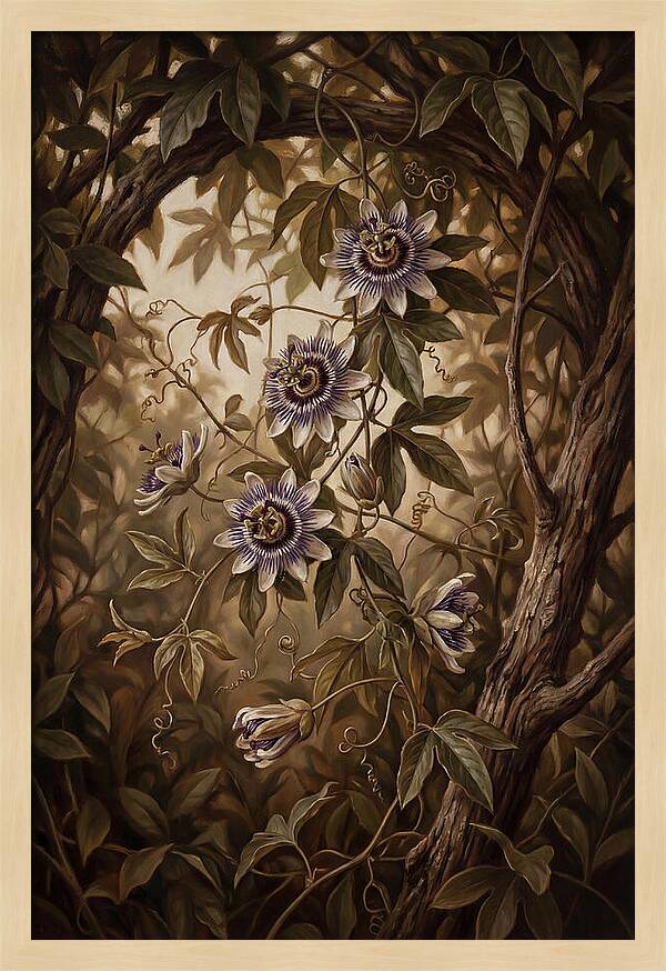Passionflower Vine Elegance
