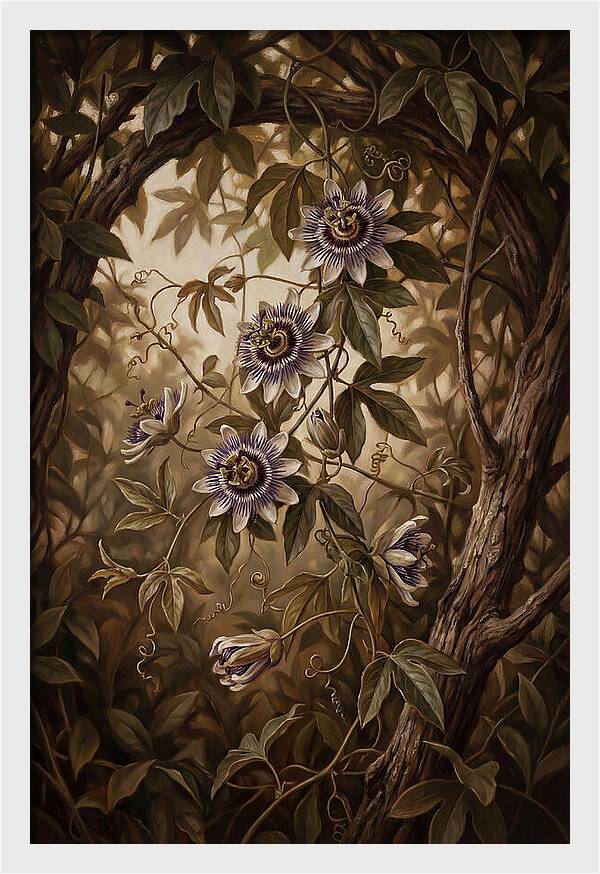 Passionflower Vine Elegance