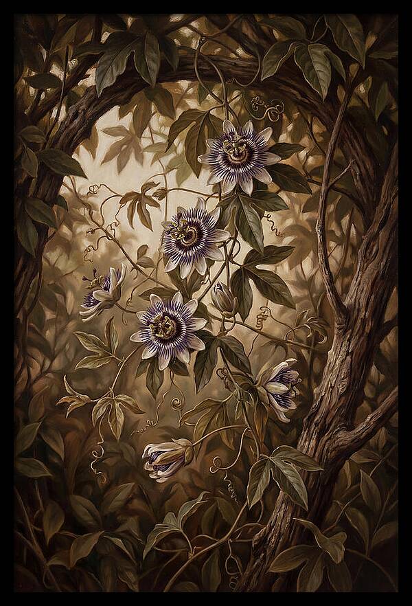 Passionflower Vine Elegance