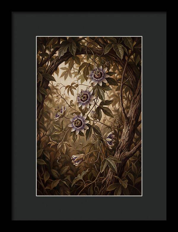 Passionflower Vine Elegance