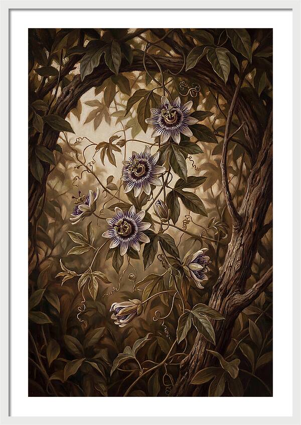 Passionflower Vine Elegance