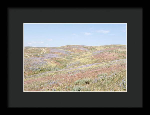 Pastel Hills In Bloom